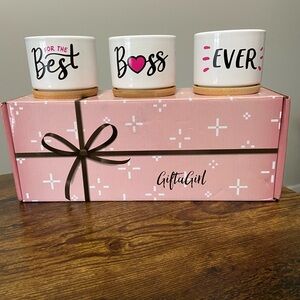 Succulent Planters (set of 3)